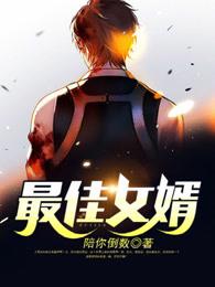 最佳赘婿完结篇