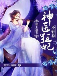 邪王追妻 神医狂妻不好惹
