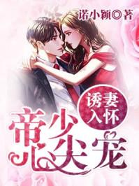 今夜星辰似你免费全集