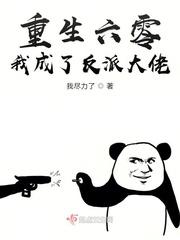 重生六零后我成了反派大佬起点中文网