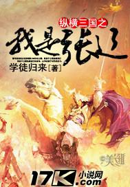 纵横天下之三国