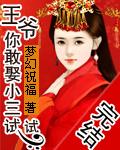 王爷娶了小王妃