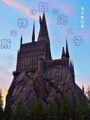 斯莱特林吧