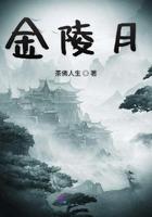 金陵月华什么档次