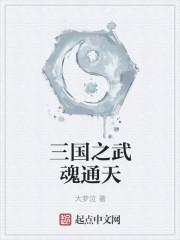 三国武魂的