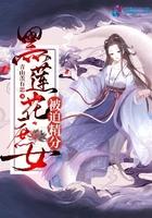 黑莲花宫斗