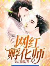 孵化网红是什么意思