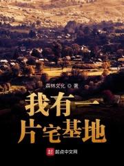 我的宅基地