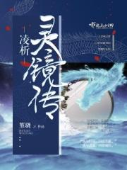 灵镜传奇12