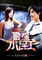 最强农民工小村长免费