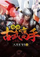 都市古武高手叶星