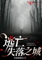 单机游戏失落之城