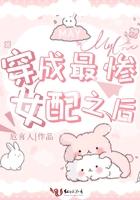穿书后我成了最惨女n号免费阅读