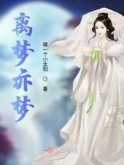 离生梦全文