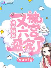 贵妃娘娘又被翻牌子了晋江