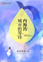 什么叫内海湾城市