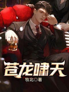 秦如凉沈娴在线阅读无弹窗