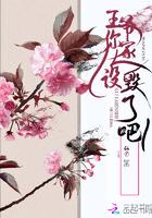 王爷你人设崩了免费阅读
