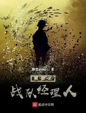 战队联盟什么意思