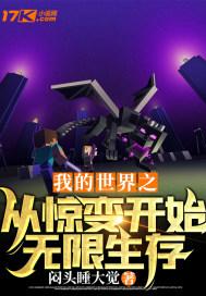 我的世界惊变100天生存视频