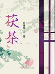 茯茶隔夜能不能喝