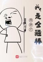 西游之我是金箍棒免费阅读
