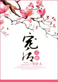 宠后之路TXT电子书