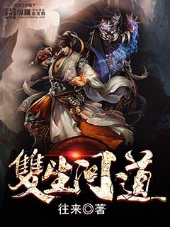 双生游戏是什么意思