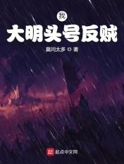 大明最后一个反贼