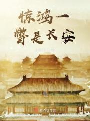 惊鸿一瞥全诗