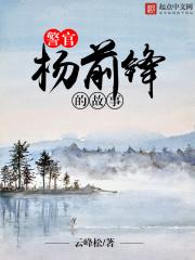 警官杨前锋的故事是什么