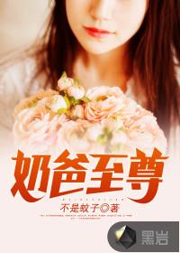 奶爸至尊凌云免费