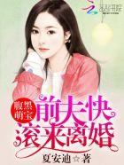 腹黑前夫复婚请排队免费阅读