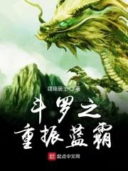 斗罗大陆之重振蓝电