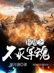 抗战之不灭军魂最新章节列表