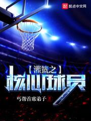 灌篮之核心球员sodu