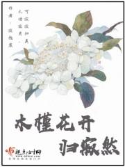 木槿花开可缓缓归矣