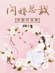 闪婚总裁实力宠